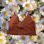 Free People Knit Burnt Orange Cropped lettuce trim Tank Top  Photo 1