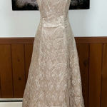 Pretty Vintage 90s Onyx Nite Champagne Lace Prom/Mother of the Bride Gown! Size 12 Photo 0