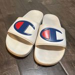 Champion Slides Photo 0