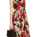 Dolce & Gabbana NWOT  poppy print dress Size 40 Photo 0