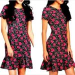 Betsey Johnson  Pink Leopard Rose Garden Floral Ruffle Cottage Core Size 12 Large Photo 1