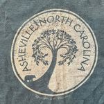 Bella Canvas Canvas Asheville North Carolina Outdoor Bear Tree Mountain Novelty Graphic Tee Photo 1