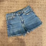 Style & Co Vintage Denim Shorts Photo 1