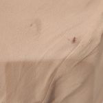 Equipment Femme Racquel Elegant Cream Viscose Women's Top Size Large Photo 10