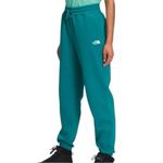 The North Face Half Dome Fleece Sweatpants Photo 1