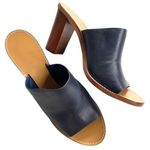 J.Crew NWOT  leather heeled sandals Photo 0