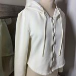 Jil Sander Cream Fitted Cropped Sweatshirt NWOT Size M Photo 15