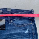 Torrid  Skinny Short Shorts - Light Wash with Destruction Photo 1