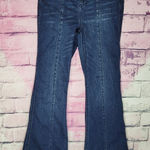 Altar'd State DARK WASH FLARE FRONT SEAM BOHEMIAN 70S STYLE JEANS 27 Photo 0