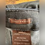 James Jeans 🦋 Women’s James Tiggy Jeans Metallic Stretchy 28 Photo 5