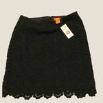 Joe Fresh  Black Skirt Photo 1