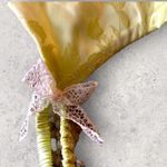 Victoria's Secret Victoria’s Secret Light Green Brocade and Lace Bows Garter Belt Sz M/L Photo 2