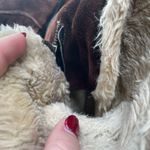 Naturalizer Brown Fuzzy Boots Photo 5