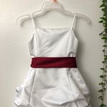 David's Bridal Wedding dress with a burgundy belt. Photo 1