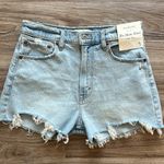 Abercrombie & Fitch The Mom High Rise Denim Shorts Photo 3