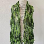 Jennifer Lopez JLo Green Knit Gradient Ombre Fringed Scarf Photo 1