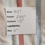 American Eagle  Striped Denim Cut-Off Shorts Size 6 Striped AEO Mom Shorts Photo 1