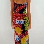 ZARA NWT  Mesh tulle Fruit Stand Maxi Dress Photo 0