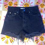 Lovers + Friends  Jack Shorts Photo 1