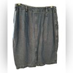Democracy Vintage  Jean skirt Photo 1