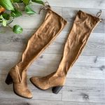 Shop The Mint Over the Knee Boots Block heel 8 brown Photo 0