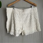 Loft Ann Taylor  The Riviera Shorts Photo 3