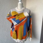 Aelfric Eden  color block cat sweater Photo 1