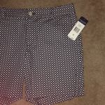 CHAPS NWT  Ladies size 12 navy/white print shorts Photo 1
