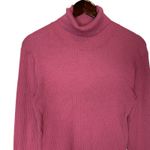 Babaton Aritzia  Compel Ribbed Turtleneck Photo 1