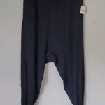 Free People Movement X FP Movement Can't Handle This Harem in Deepest Navy pants large  Photo 0