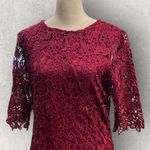 Nina Leonard Jewel Neck Lace Dress Sangria NWT Size M Photo 4