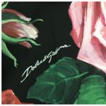 Dolce & Gabbana nwt dolce&gabanna rose print dress Photo 4