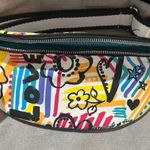 Brighton  Colorful Patterned Women's Belt Bag or Shoulder Bag Photo 0