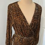 J.Crew Leopard Print Velvet Wrap Dress Photo 5