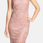 Tadashi Shoji  Pink Sequin Illusion Lace Dress blush mauve size 14 sleeveless Photo 0