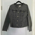 LOGO By Lori Goldstein 4/$25   Distressed Edges Denim Jacket Frayed Grey Sz 4 Photo 1