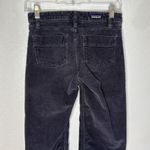Patagonia Women's Gray Straight Grand Pitch Cords Pants Size 24 Photo 4