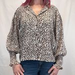 Vine & Love Women's Animal Print Collared Blouse L LG Large Cream Brown Cheetah Photo 0