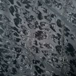 Jason Wu  Velour Silk Animal Print‎ Top Black NWOT Sz 4 Photo 3