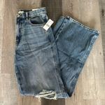 PacSun NWT Pac-sun Baggy Jeans Photo 0