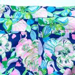 Lilly Pulitzer Kaden Stretch Shorts Multi Beak Calm Carry On 4" Inseam Size 16 Photo 4