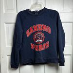 Sandro 🚨 Luxury BIG LOGO UNIVERSITY VINTAGE BLUE SWEATSHIRT size 2 Photo 0