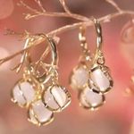 Bellflower Cat Is Eye Stone Earrings for Women Light Luxury and Temperament Photo 3