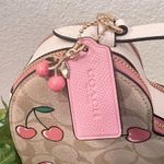 Coach Heart Crossbody In Signature Canvas With Heart Cherry Print CE653 Photo 3
