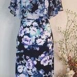 Connected Apparel Blue Floral Dress Size 6 Photo 0