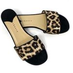 Theory NWT  Jasper Cheetah Slide Sandal Mules 36 Photo 0