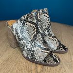 DV Dolce Vita Snakeskin Animal Print Slip On Block Heel Mules Women's Size 8 Gray Photo 0