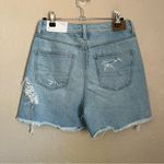 American Eagle NWT  Distressed Relaxed Mom Shorts 4 27 Photo 1