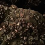 Mac Duggal  93915 Green Hand Embellished Strapless Gown Dress Photo 11