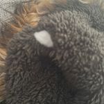 Rachel Roy RACHEL | Army Green Coat Photo 4